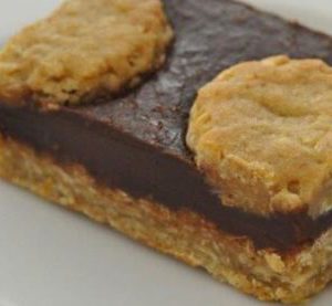 Oat Fudge Bar