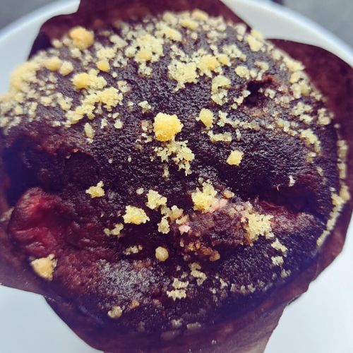 vegan chocolate cranberry muffin from take five cafe